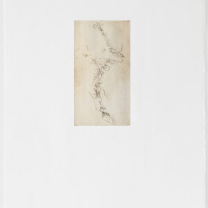 “Backbone III”, 2010, Backbones series, Etching, 28.5 x 38 cm