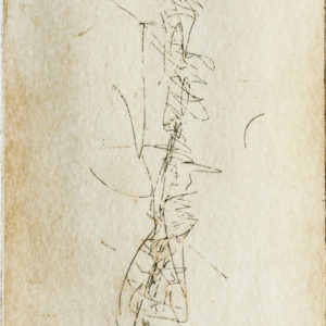 “Backbone III” (detalle)