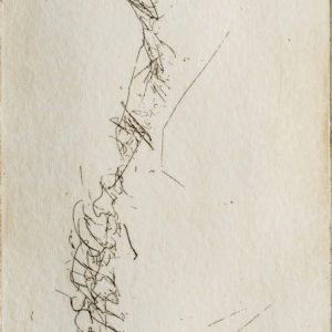 “Backbone VI” (detalle)