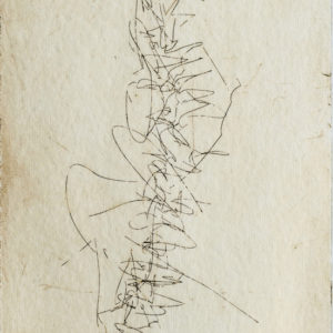 “Backbone VII” (detalle)