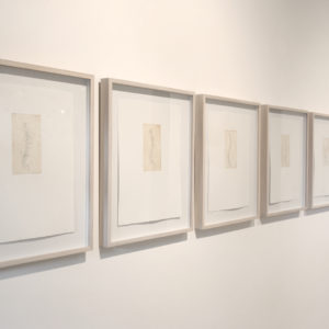“Backbone I, II, III, IV, V, VI, VII”, 2010, Serie: Sin Título, Grabado: Agua Fuerte sobre papel de algodón, 28.5 x 38 cm.