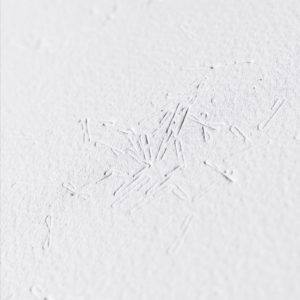 “Laberinto Interno IV” (detail)