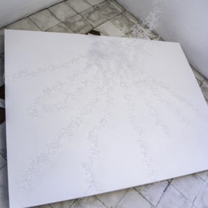 “Sin Título II”, 2017, Serie: Paisajes Blancos, Plástico transparente, Dimensiones variables, 45 x 100 x 80 cm.