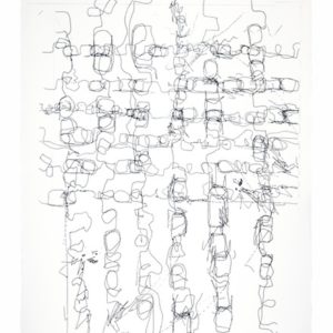 “Sin Título”, 2009, Serie: Sin Título, Dibujo transferido sobre papel de algodón, 57 x 76 cm.